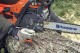 Motoferastrau HUSQVARNA 130 Mark II putere 1.5 kW, lungime sina 35 cm. Poza 2565